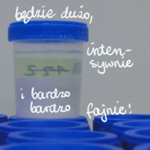 Warsztaty- „Oswajamy szkliwa” Zuza EduBiskwit